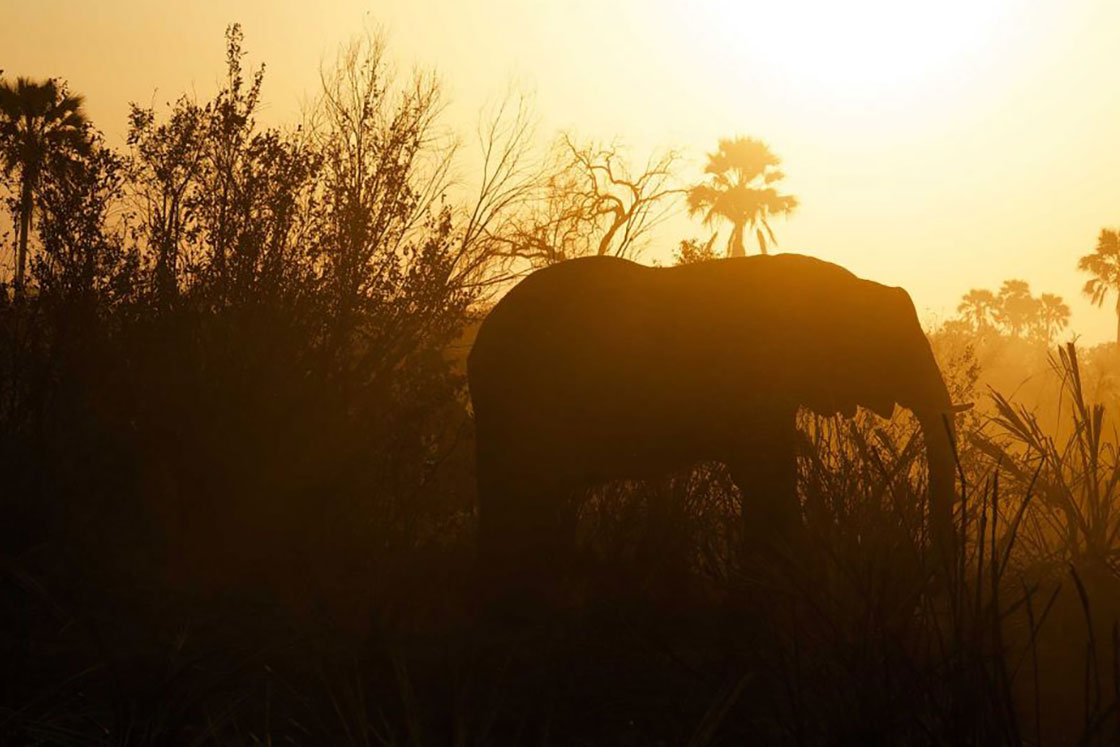 Royalty-free African music for video projects and documentaries